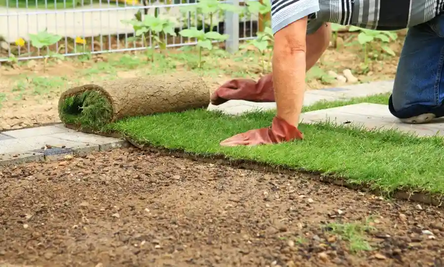 Choosing Grass Types for Sod Installation Orillia, ON Choosing Grass Types for Sod Installation Orillia, ON