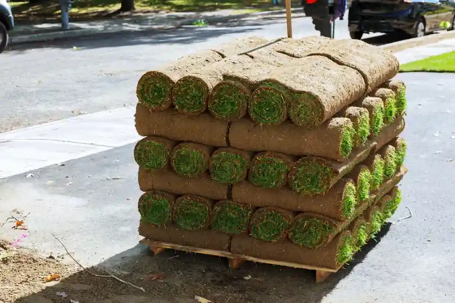 Choosing Grass Types for Sod Installation in Orillia, ON Choosing Grass Types for Sod Installation in Orillia, ON