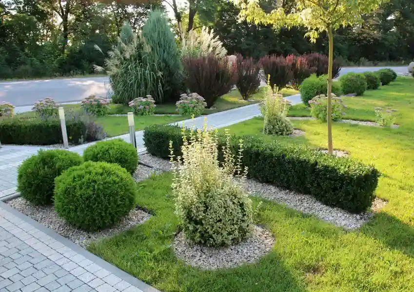 Common Lawn Issues And How Proper Maintenance Resolves Them Orillia, ON Common Lawn Issues And How Proper Maintenance Resolves Them Orillia, ON