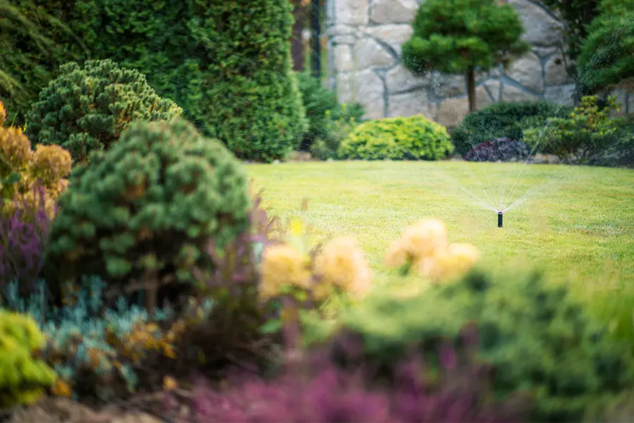 Common Lawn Issues And How Proper Maintenance Resolves Them in Orillia, ON Common Lawn Issues And How Proper Maintenance Resolves Them in Orillia, ON