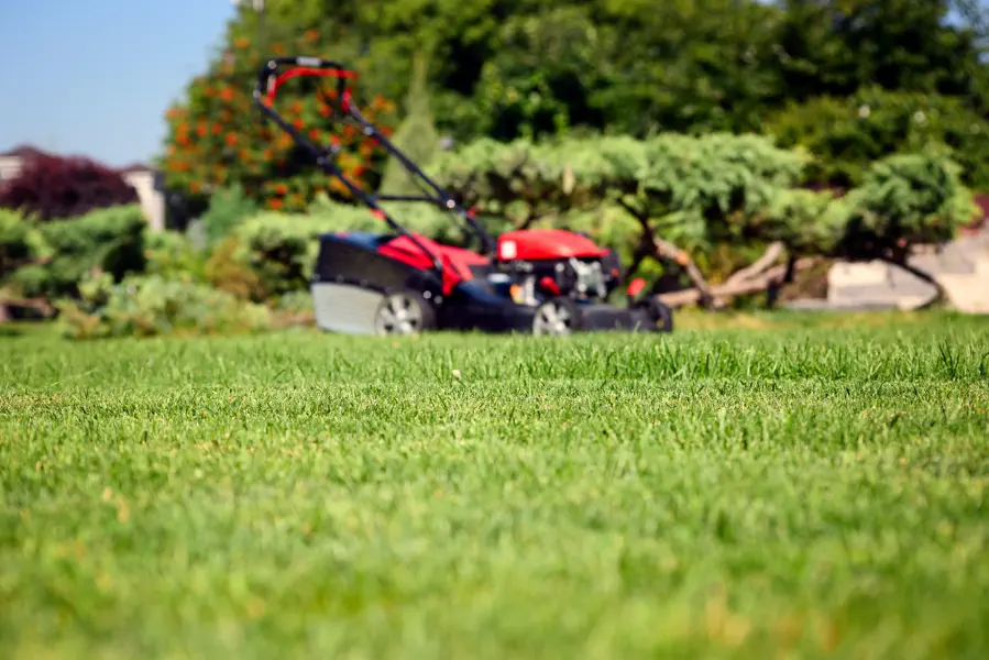 Common Lawn Mowing Mistakes and How to Avoid Them Orillia, ON Common Lawn Mowing Mistakes and How to Avoid Them Orillia, ON