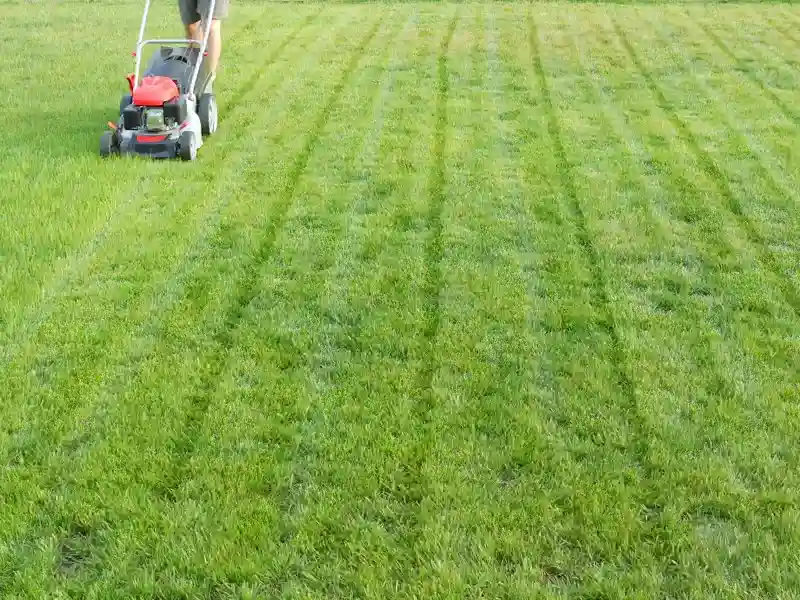 Common Lawn Mowing Mistakes and How to Avoid Them in Orillia, ON Common Lawn Mowing Mistakes and How to Avoid Them in Orillia, ON