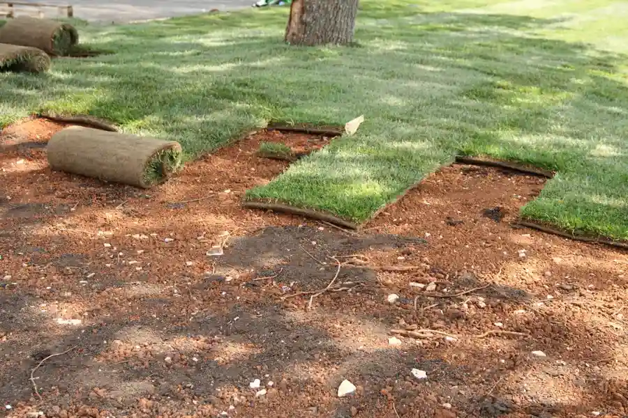 Common Sod Installation Mistakes to Avoid in Orillia, ON Common Sod Installation Mistakes to Avoid in Orillia, ON