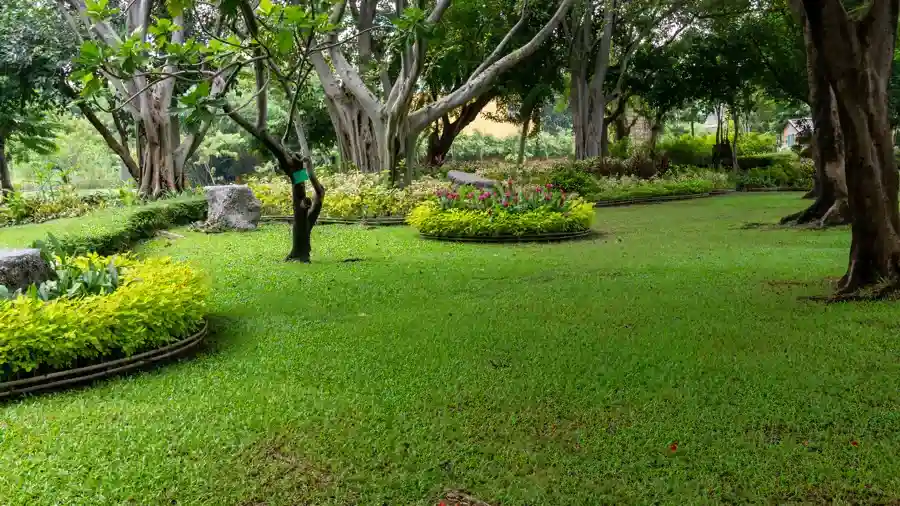 Excellent Lawn Maintenance Service in Orillia, ON Excellent Lawn Maintenance Service in Orillia, ON