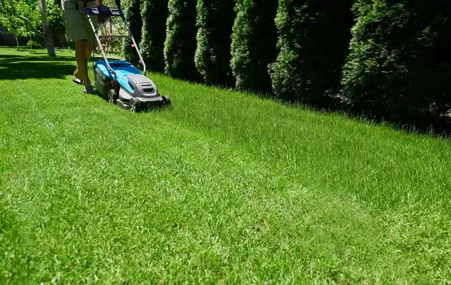 Excellent Lawn Mowing Service in Orillia, ON Excellent Lawn Mowing Service in Orillia, ON