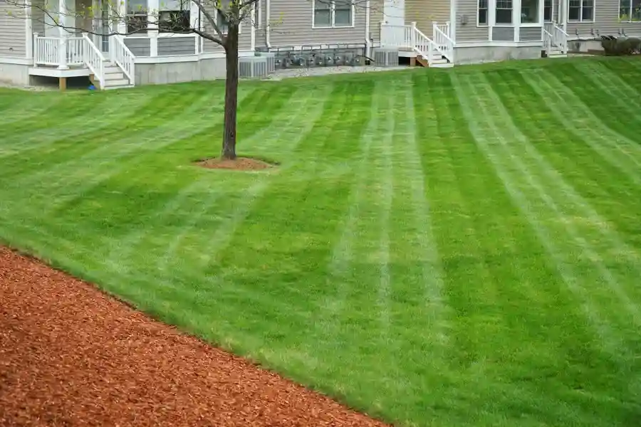 Experienced Lawn Mowing Service in Orillia, ON Experienced Lawn Mowing Service in Orillia, ON