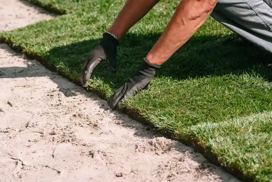 Experienced Sod Installation Service in Orillia, ON Experienced Sod Installation Service in Orillia, ON