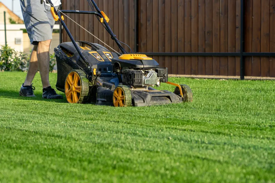Reliable Lawn Mowing Service in Orillia, ON Reliable Lawn Mowing Service in Orillia, ON