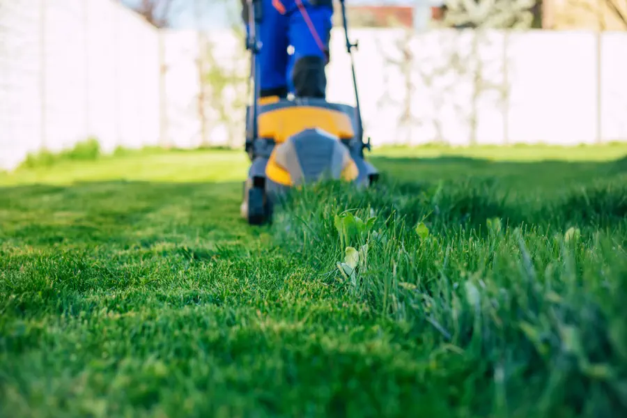 Seasonal Considerations for Effective Lawn Mowing Orillia, ON Seasonal Considerations for Effective Lawn Mowing Orillia, ON