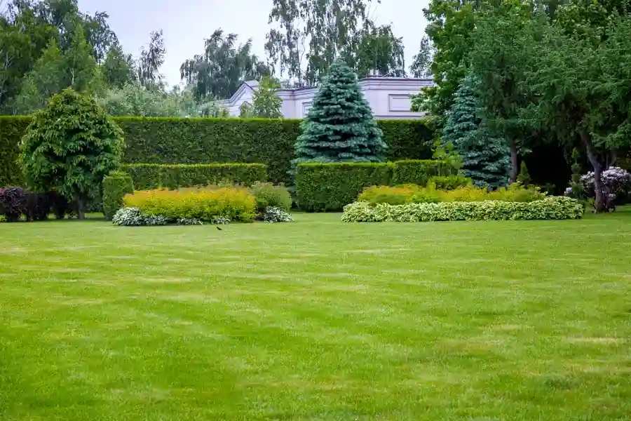 Seasonal Considerations for Effective Lawn Mowing in Orillia, ON Seasonal Considerations for Effective Lawn Mowing in Orillia, ON