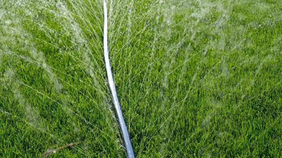 Signs Your Sprinkler System Needs Immediate Repair in Orillia, ON Signs Your Sprinkler System Needs Immediate Repair in Orillia, ON