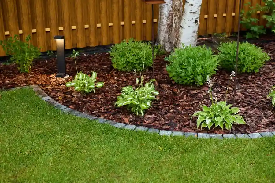 Understanding The Role Of Fertilization In Lawn Maintenance in Orillia, ON Understanding The Role Of Fertilization In Lawn Maintenance in Orillia, ON
